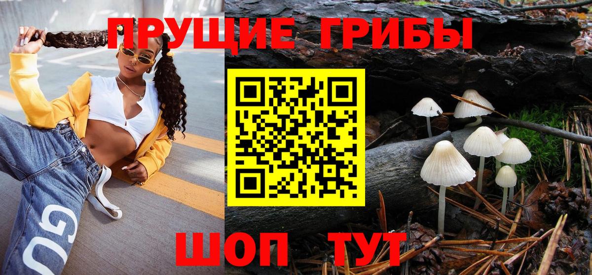 Псилоцибиновые грибы Psilocybe Лесной